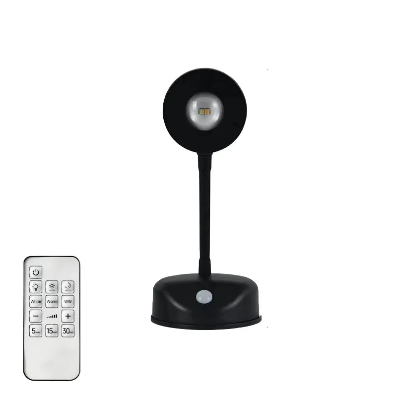 Motion Sensor Light